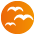 Web Link